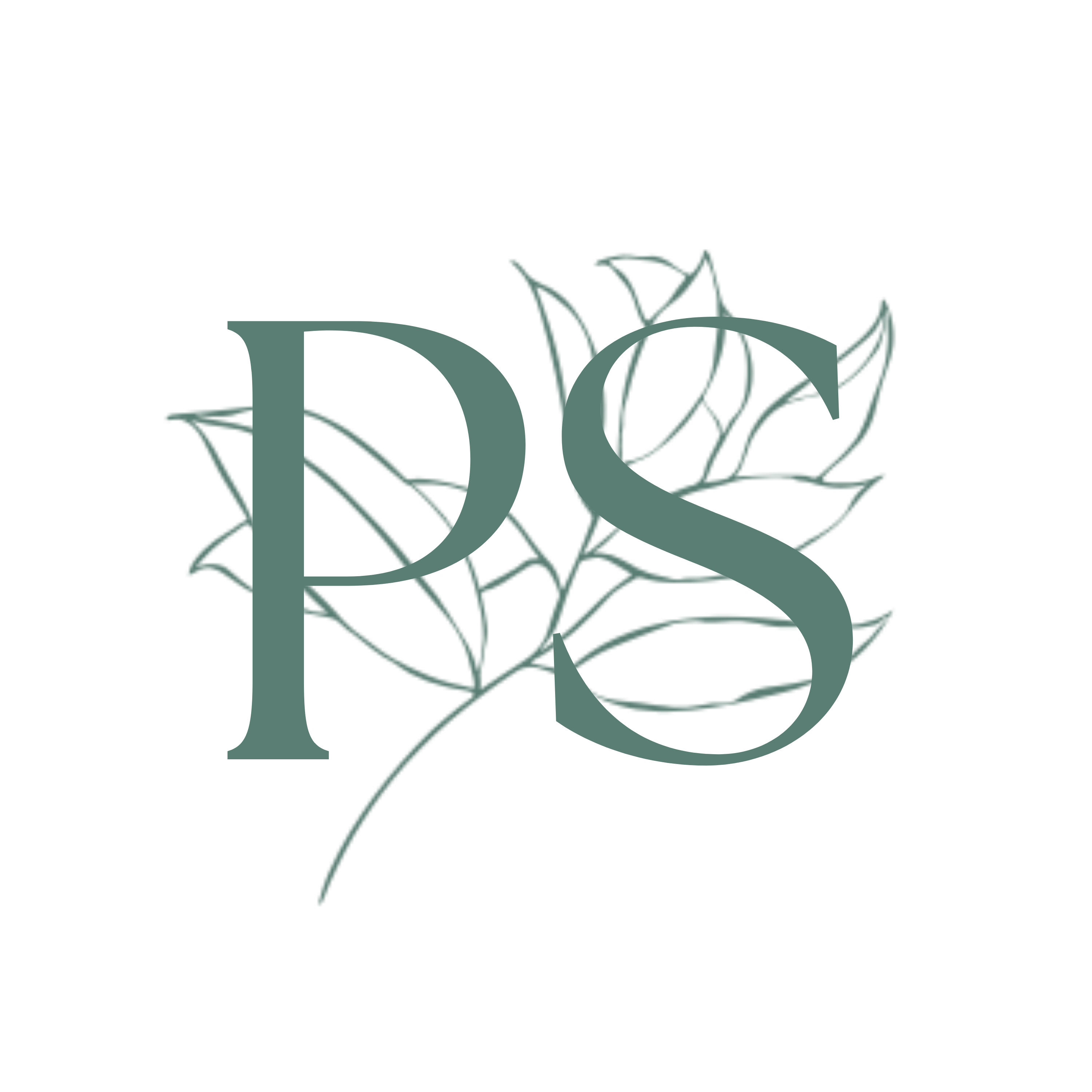 Petra Steinbichler Logo